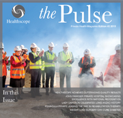 The Pulse - 2015 Edition 2