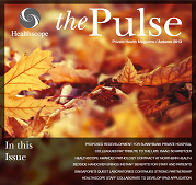 The Pulse - 2013 Edition 1