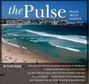 The Pulse - 2010 Edition 1