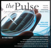 The Pulse - 2010 Edition 3