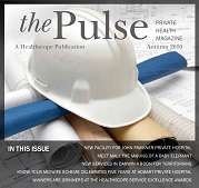 The Pulse - 2010 Edition 2